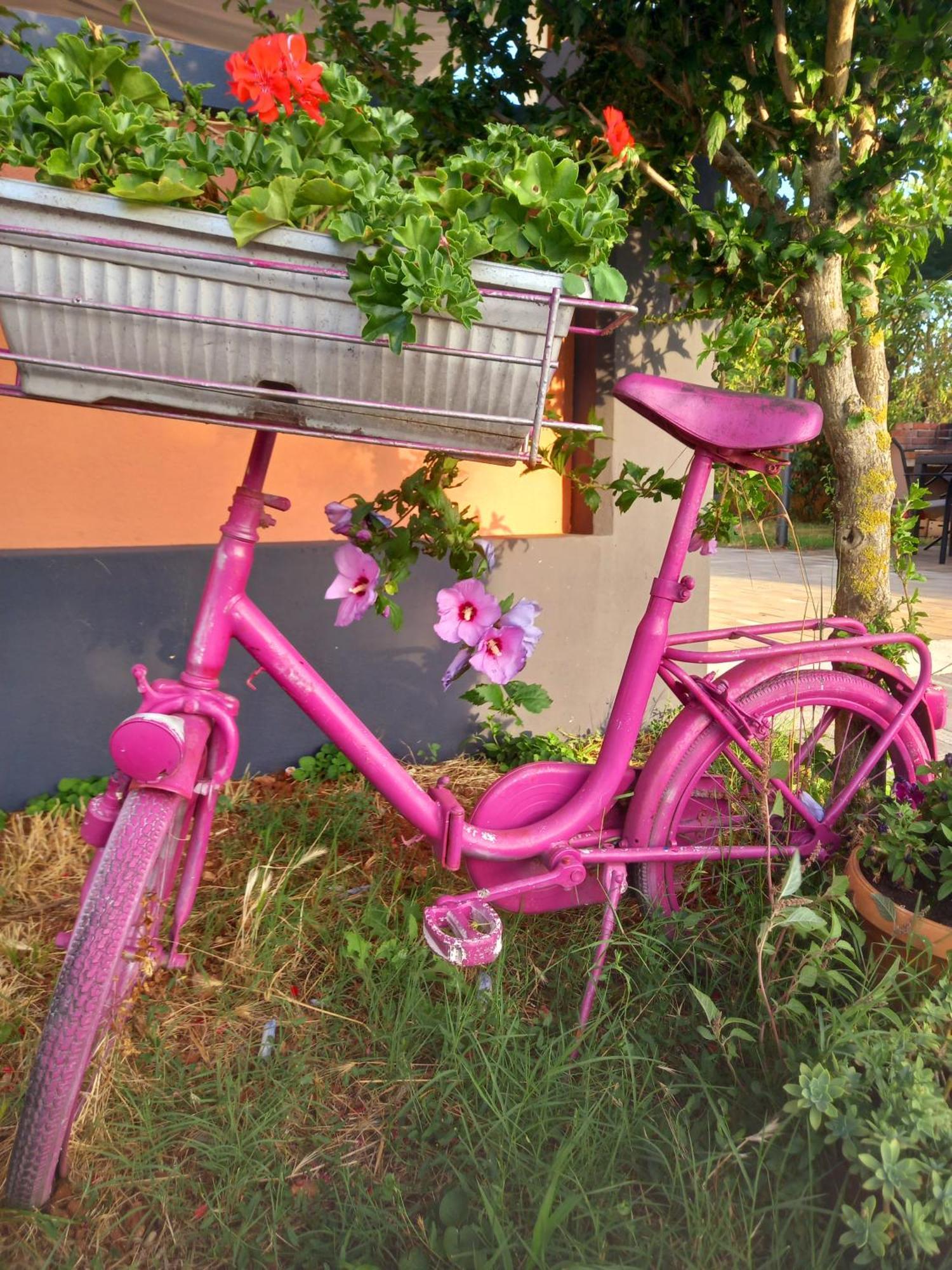 Apartment Kaic 1045